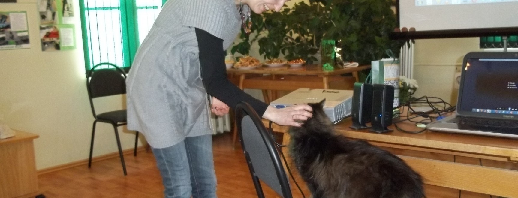 Izstādes 