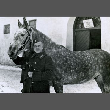 Vienas fotogrāfijas izstāde “Divi draugi”